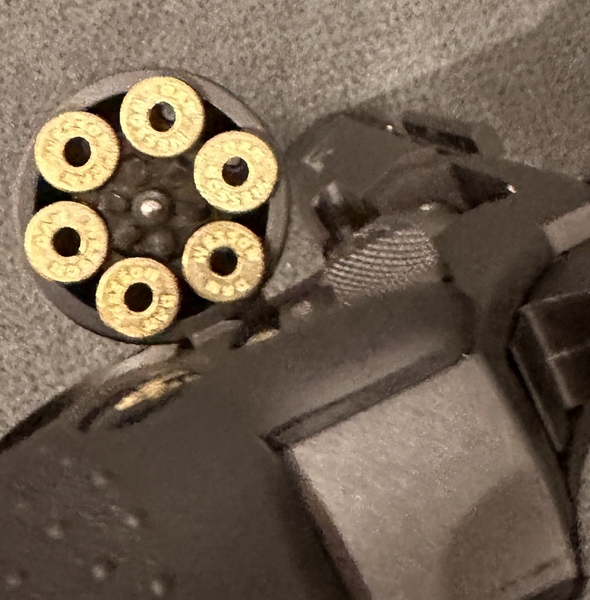 A real photo din Revolver ASG Dan Wesson 8'' CO2 by Doru (5)