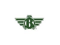 Arme airsoft Bolt Airsoft
